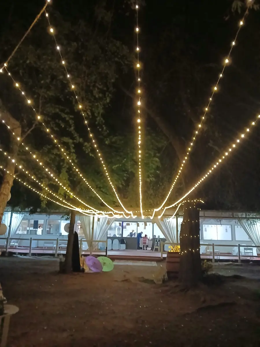 Luces en abanico entre los árboles junto al salón