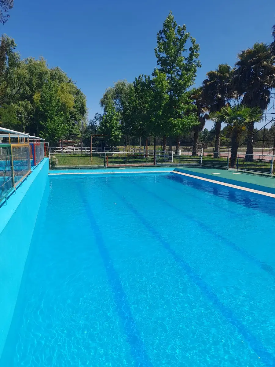 Piscina azul con palmeras y árboles al fondo
