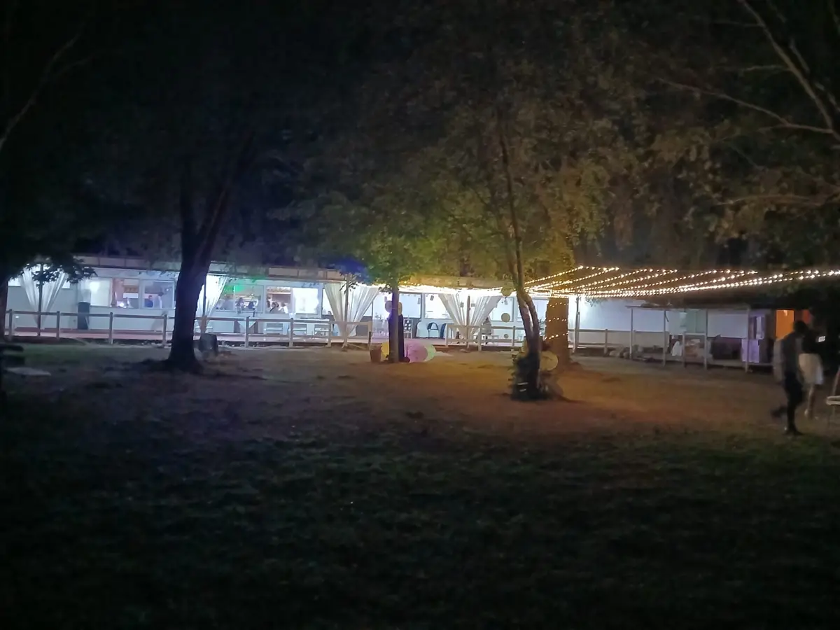 Jardín y salón iluminados con guirnaldas de noche
