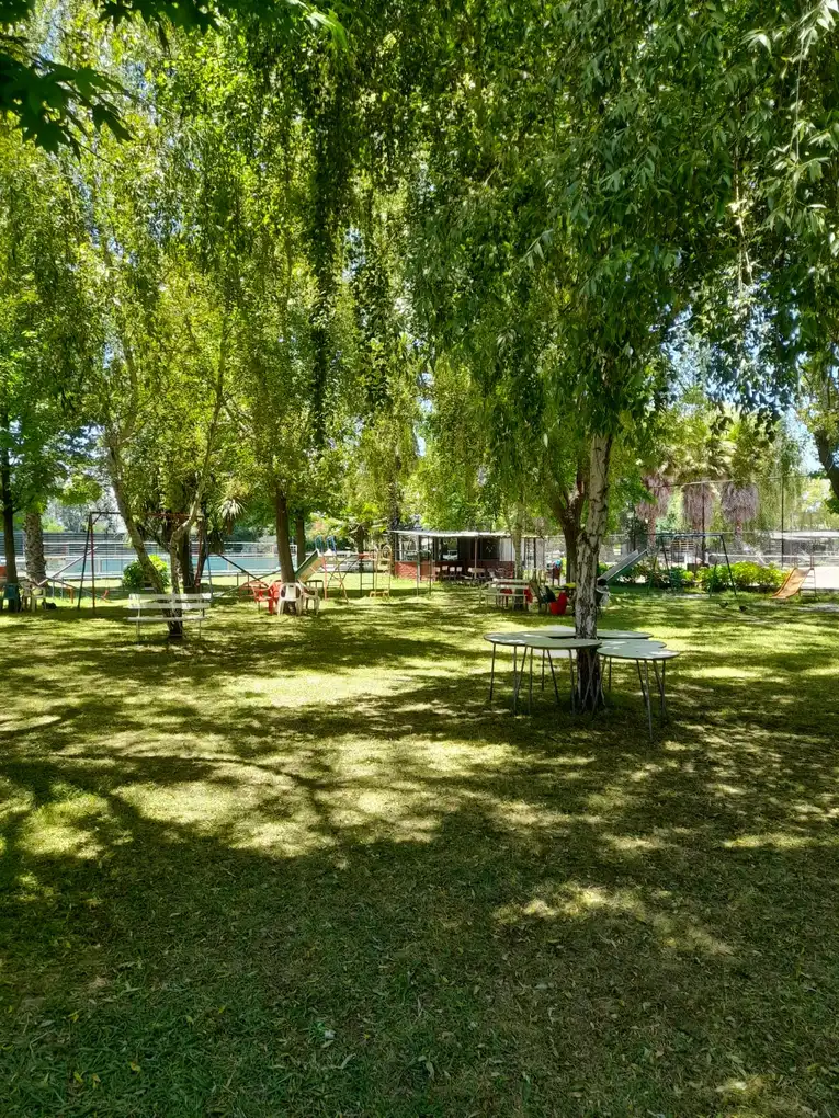 Jardín arbolado con césped y sombra