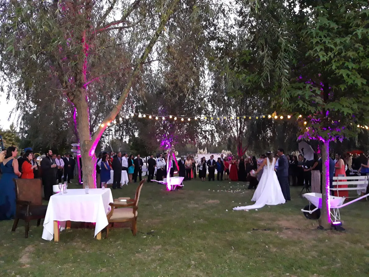 Celebración al aire libre con luces violetas y pareja de novios