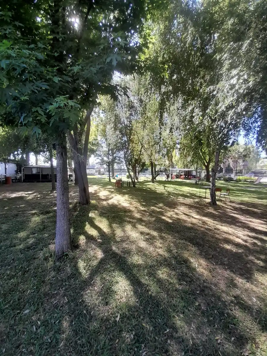 Sendero sombreado entre los árboles del jardín