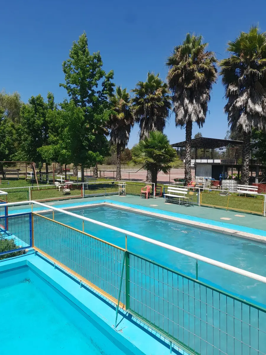 Piscina dividida por reja con palmeras al fondo