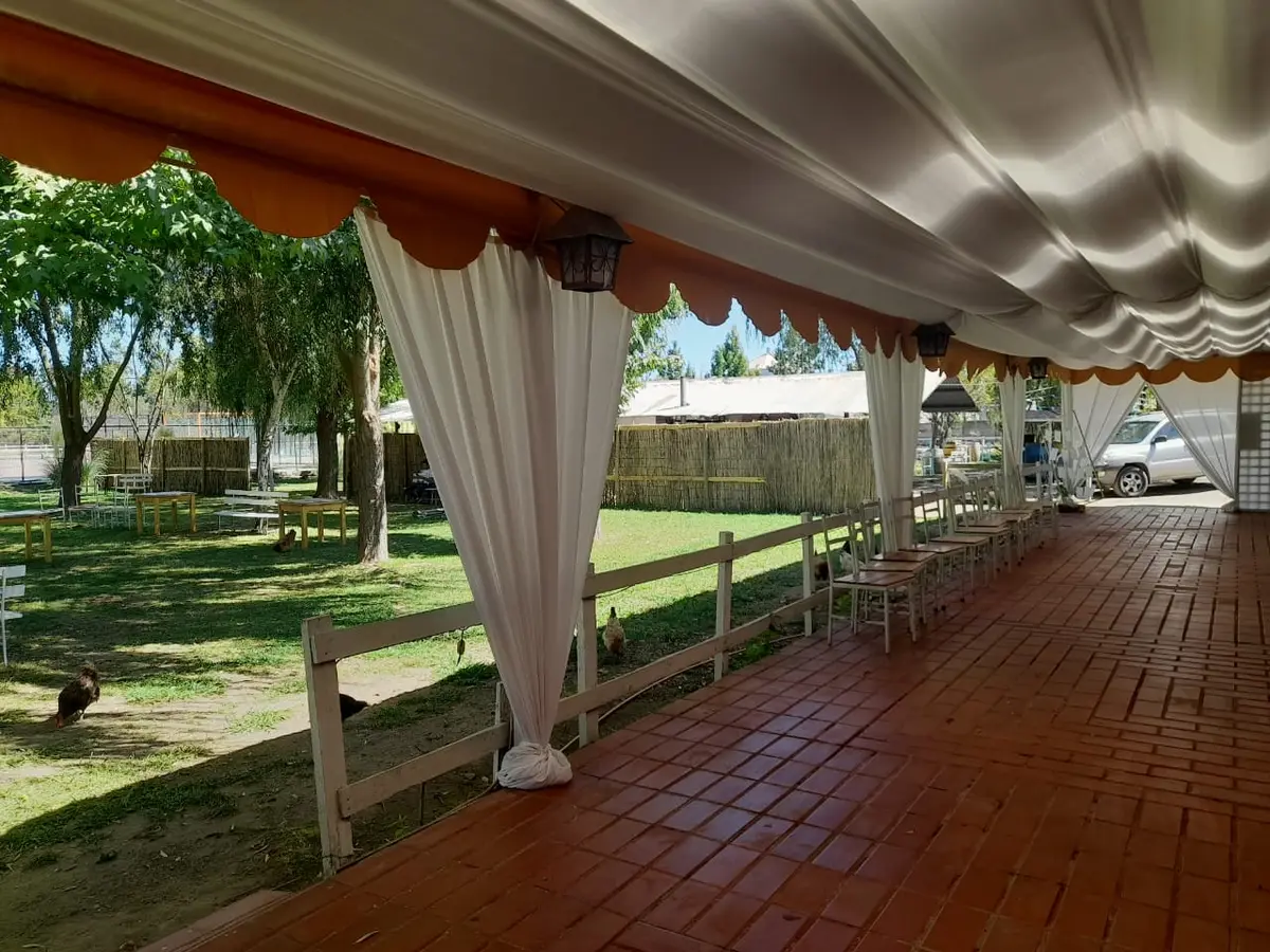 Terraza con cortinas blancas y baranda junto a los árboles