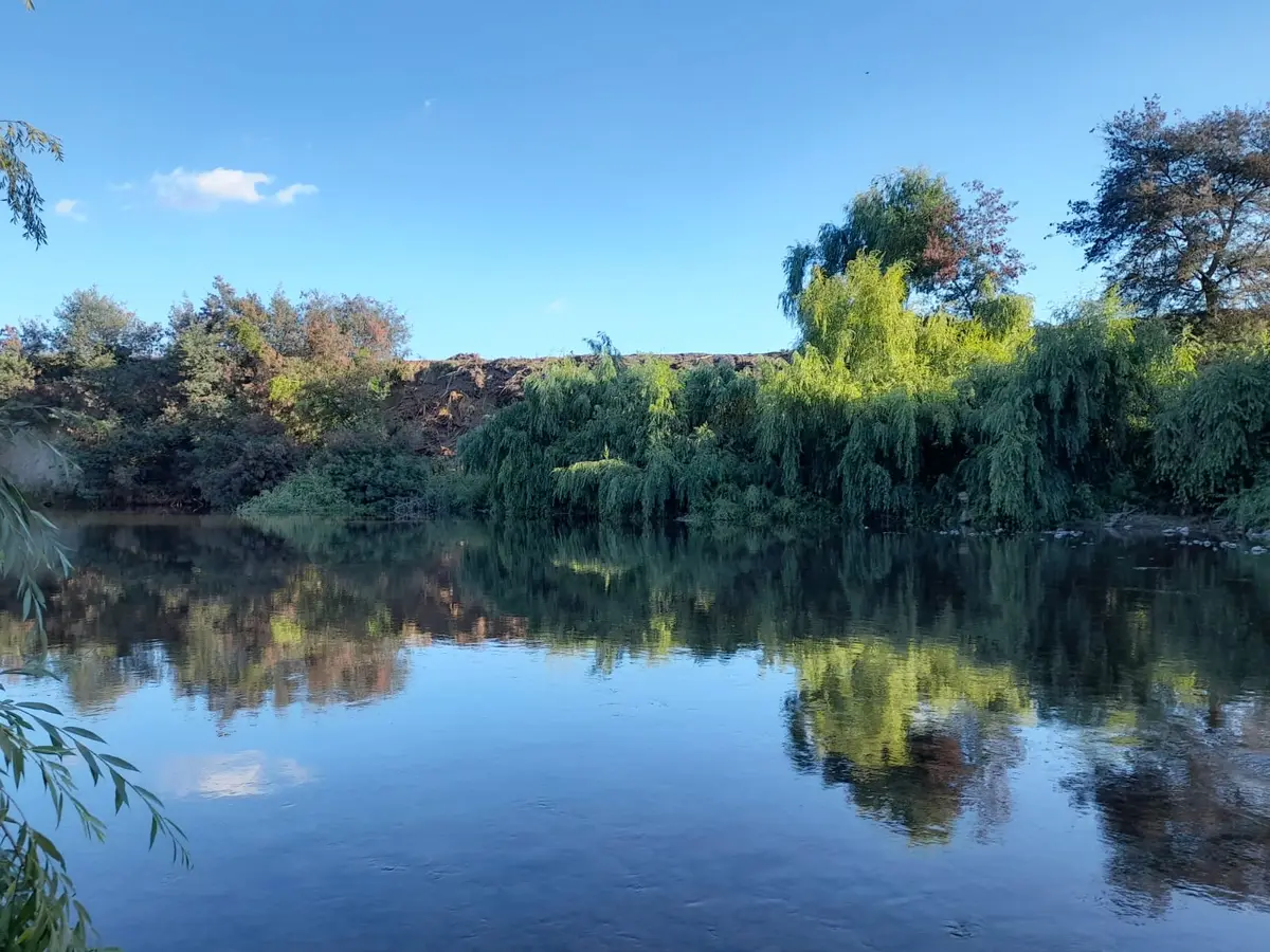 Río del sector con reflejos de los árboles de la ribera
